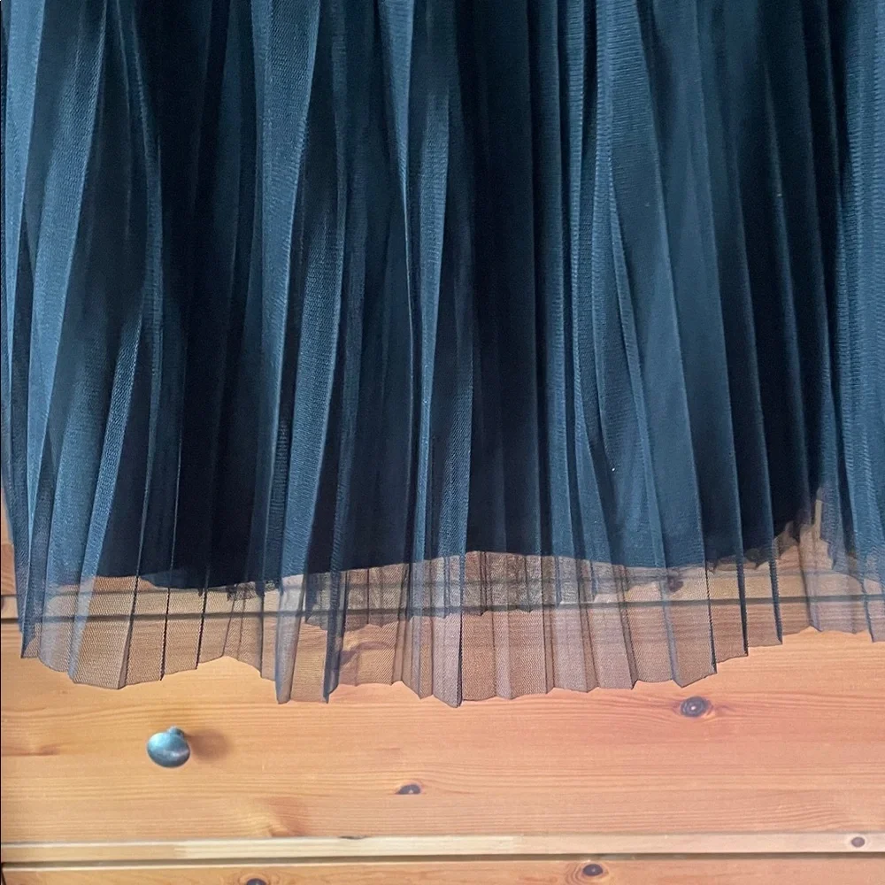BANANA REPUBLIC Pleated Thule skirt